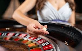 d2g Sportsbook
